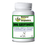 DOG AND CAT KRYPTONITE Adrenal, Thyroid, Pituitary & Hypothalamic Support*