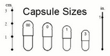 STOMA RIGHTIS MAX CAPSULES* ADJUNCTIVE ORAL INFLAMMATION SUPPORT for Dogs and Cats*