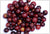 I Want Liquid Immunity - Whole Body Immunity, Cellular & Antioxidant Support* - Natura Petz Organics
 - 6