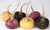 MACA MASTER* ULTIMATE ORGANIC ADAPTOGEN GLAND & STRESS REGULATOR* PETZ KITCHEN