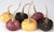 MACA MASTER* ULTIMATE ORGANIC GLAND & STRESS REGULATOR* ADAPTOGEN BLEND*